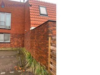 Loodgieter Reparatie dakgoot Dakpan