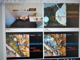 Loodgieter Rioolvliegjes Last van rioolvliegjes en vochtplekken