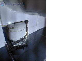 Loodgieter Lekkage wc wc lekkage afvoer